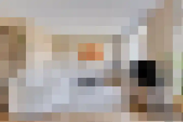 Boomwei 16 Burgh-Haamstede thumbnail 9