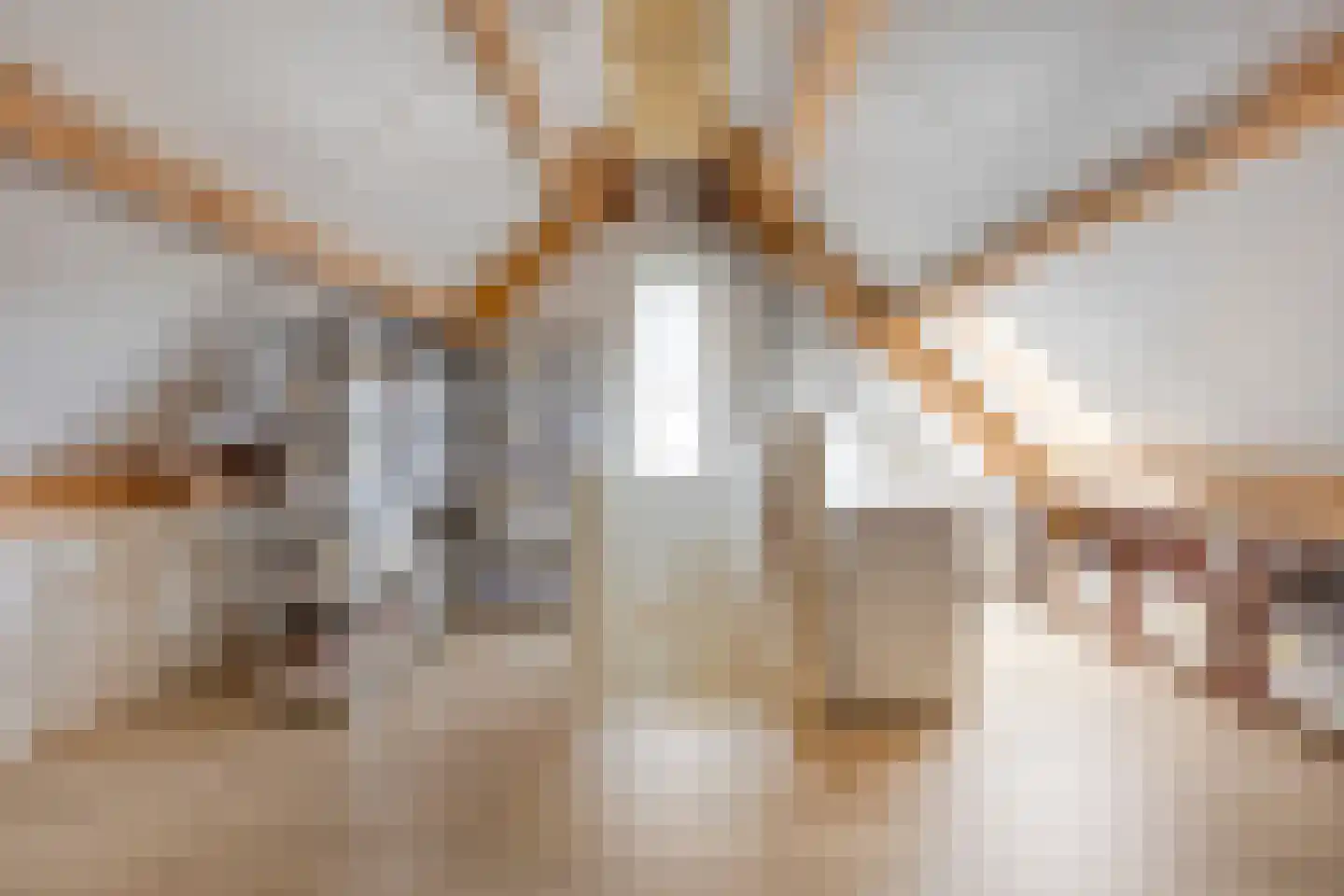 Boomwei 22 Burgh-Haamstede thumbnail 22