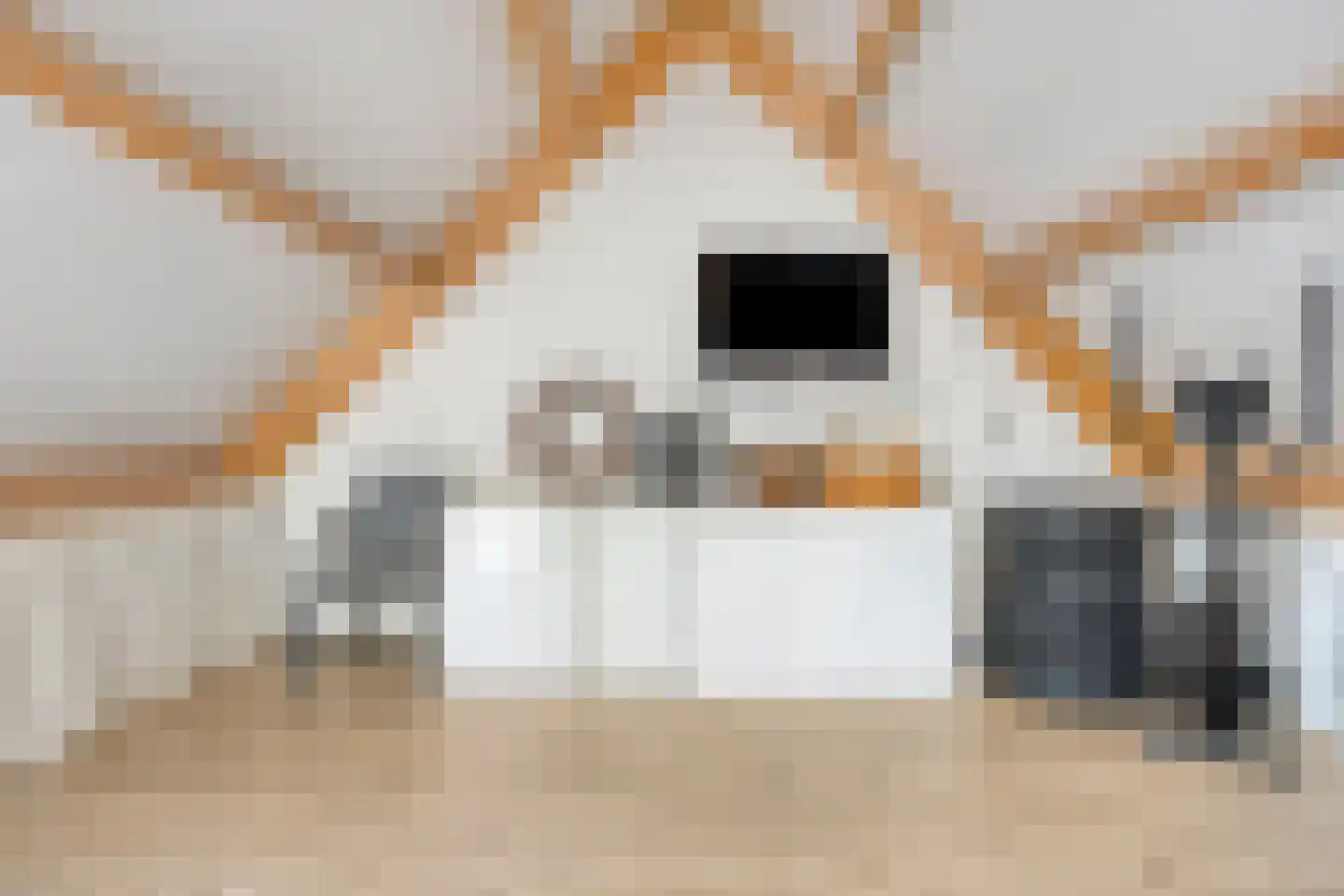 Boomwei 22 Burgh-Haamstede thumbnail 23