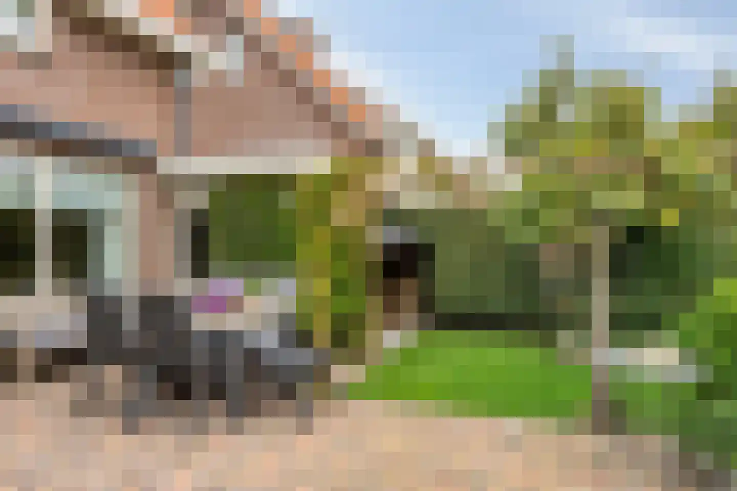 Boomwei 22 Burgh-Haamstede thumbnail 24