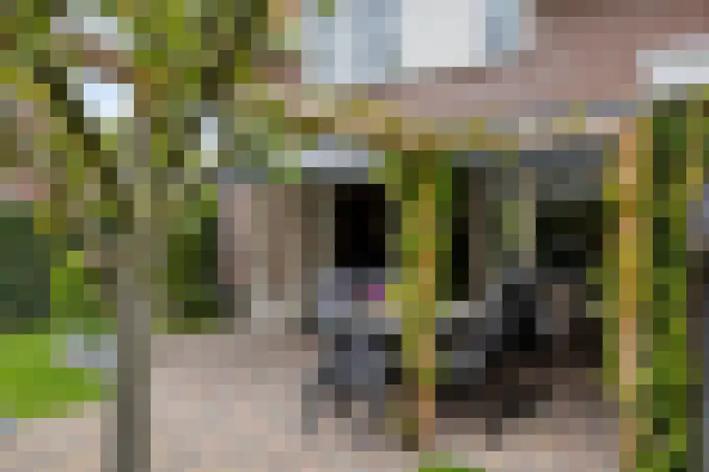 Boomwei 22 Burgh-Haamstede thumbnail 27