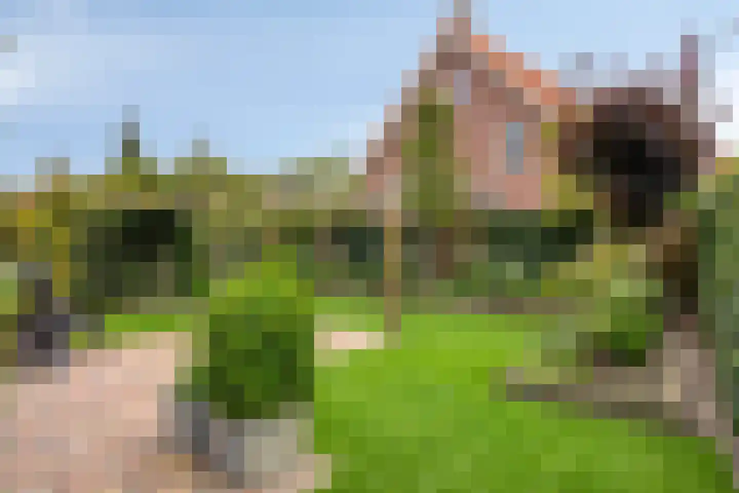 Boomwei 22 Burgh-Haamstede thumbnail 28