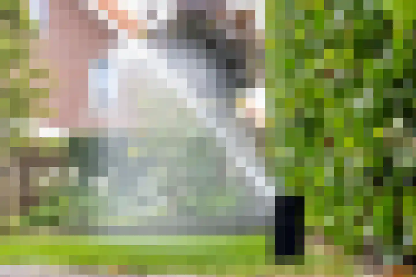 Boomwei 22 Burgh-Haamstede thumbnail 29