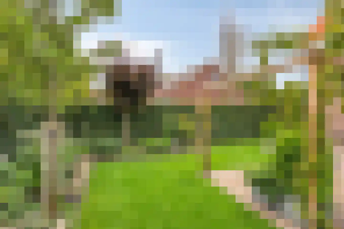 Boomwei 22 Burgh-Haamstede thumbnail 30