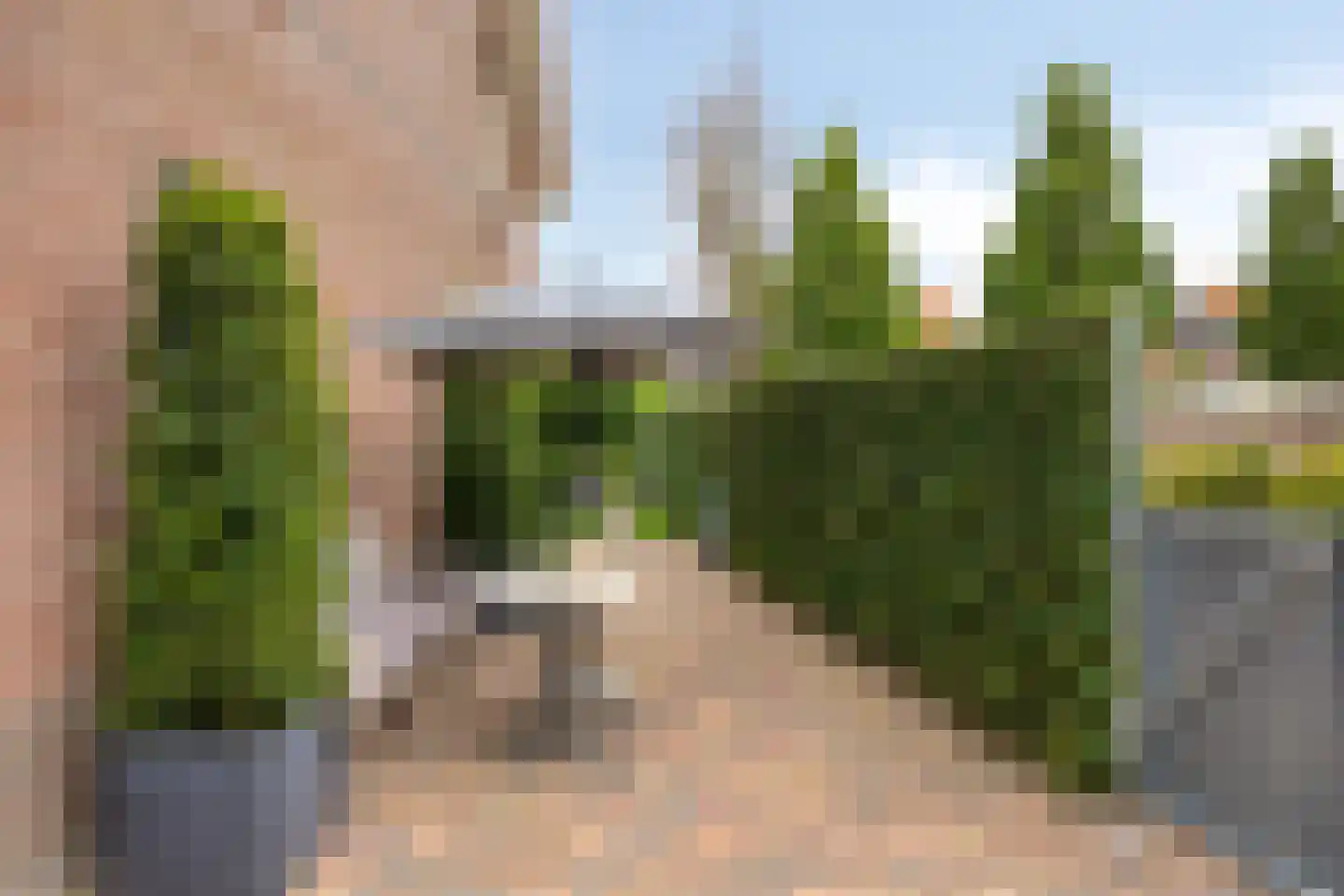 Boomwei 22 Burgh-Haamstede thumbnail 31