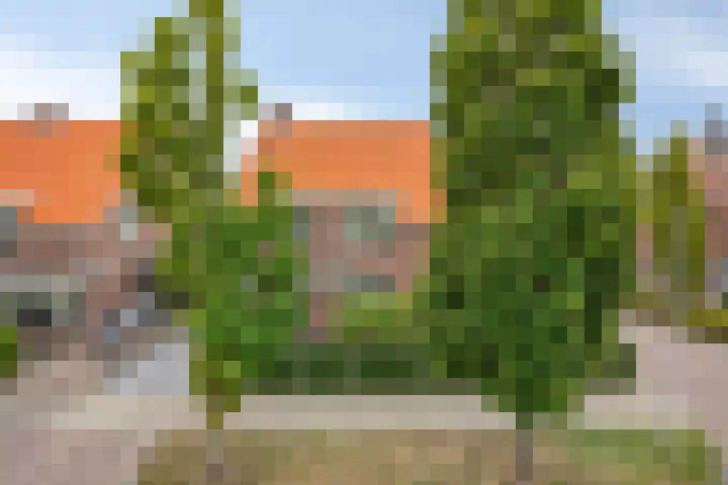 Boomwei 22 Burgh-Haamstede thumbnail 32
