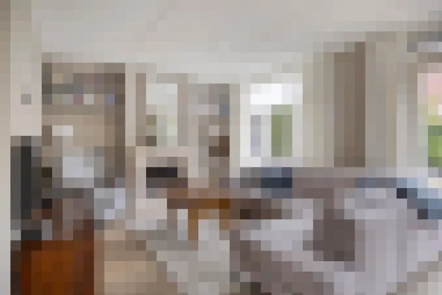 Boomwei 22 Burgh-Haamstede thumbnail 7