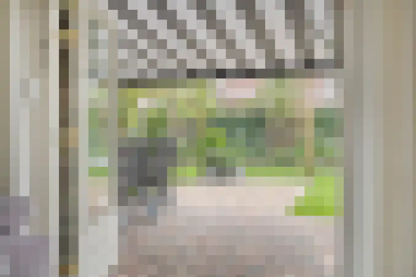 Boomwei 22 Burgh-Haamstede thumbnail 9