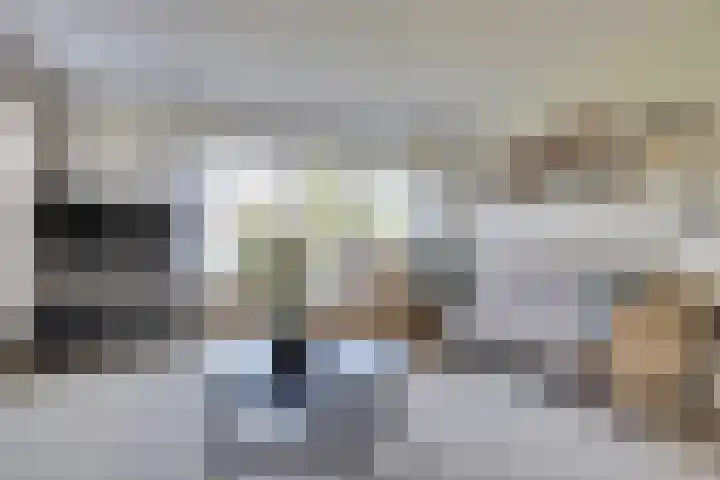 Boomwei 36 Burgh-Haamstede thumbnail 12