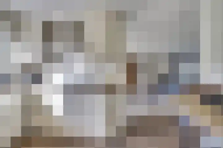 Boomwei 36 Burgh-Haamstede thumbnail 17