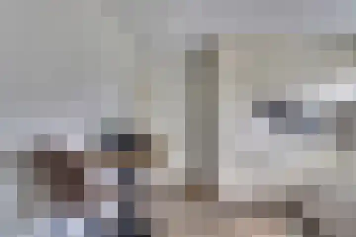 Boomwei 36 Burgh-Haamstede thumbnail 19