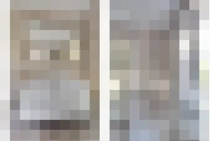 Boomwei 36 Burgh-Haamstede thumbnail 24