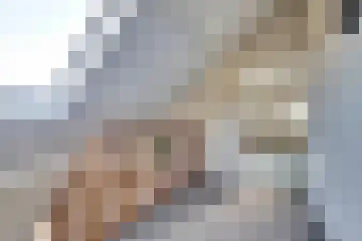 Boomwei 36 Burgh-Haamstede thumbnail 27