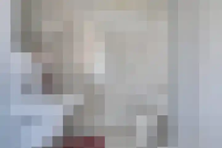 Boomwei 36 Burgh-Haamstede thumbnail 32