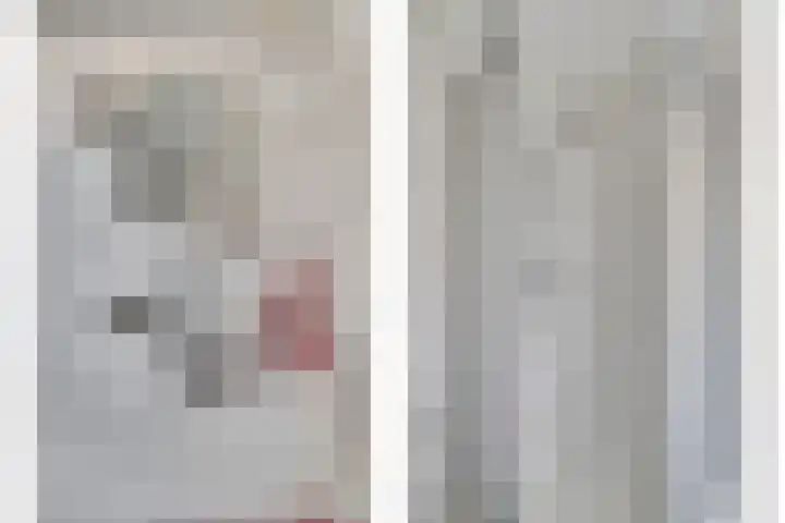 Boomwei 36 Burgh-Haamstede thumbnail 33