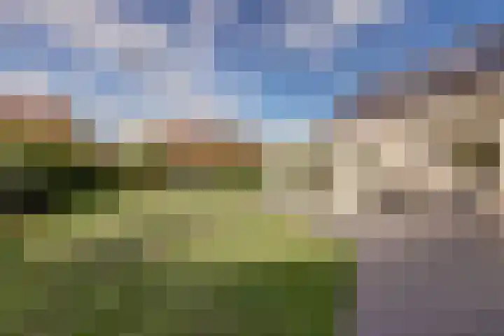 Boomwei 36 Burgh-Haamstede thumbnail 36