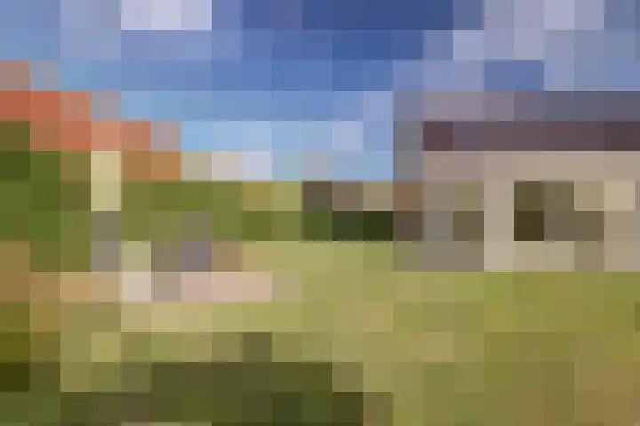 Boomwei 36 Burgh-Haamstede thumbnail 37