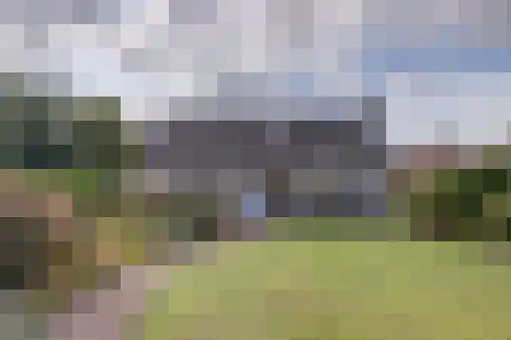 Boomwei 36 Burgh-Haamstede thumbnail 38