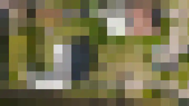 Boomwei 36 Burgh-Haamstede thumbnail 39