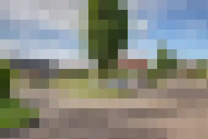 Boomwei 36 Burgh-Haamstede thumbnail 4