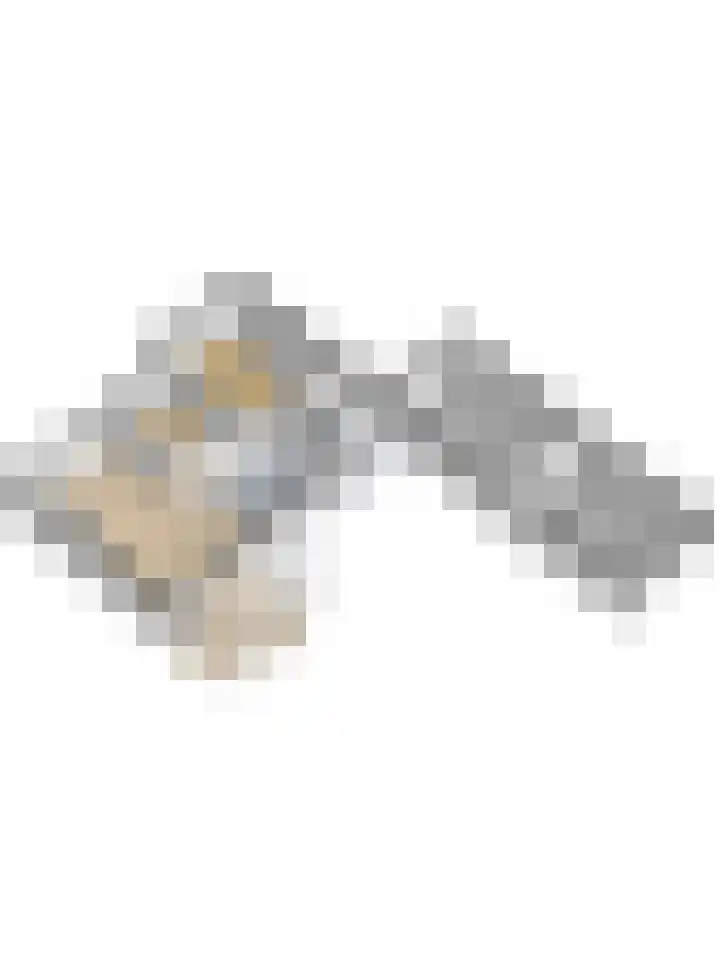 Boomwei 36 Burgh-Haamstede thumbnail 43