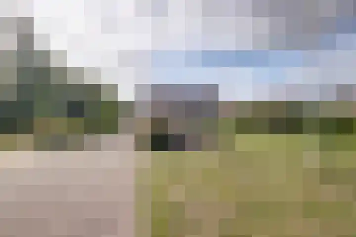 Boomwei 36 Burgh-Haamstede thumbnail 5