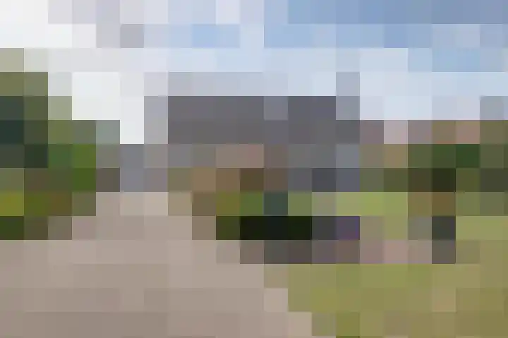 Boomwei 36 Burgh-Haamstede thumbnail 6