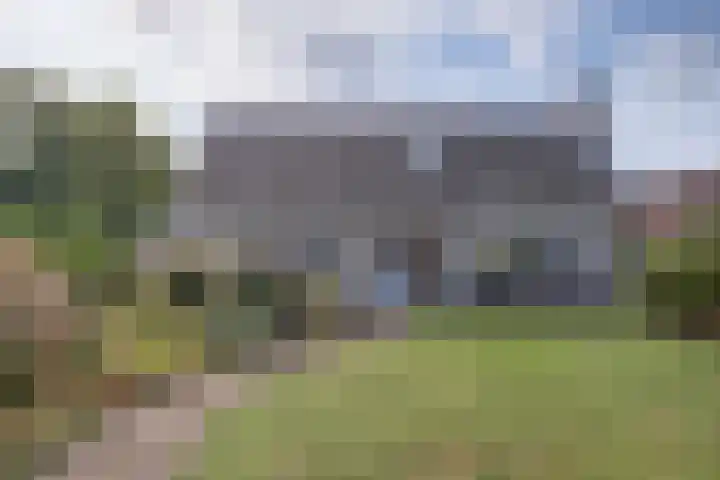 Boomwei 36 Burgh-Haamstede thumbnail 7