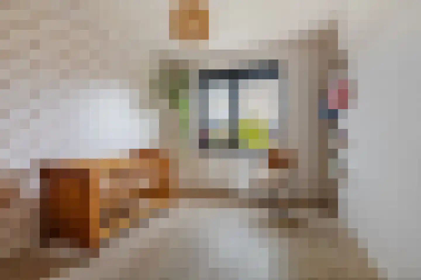Boomweide 8 Teteringen thumbnail 18