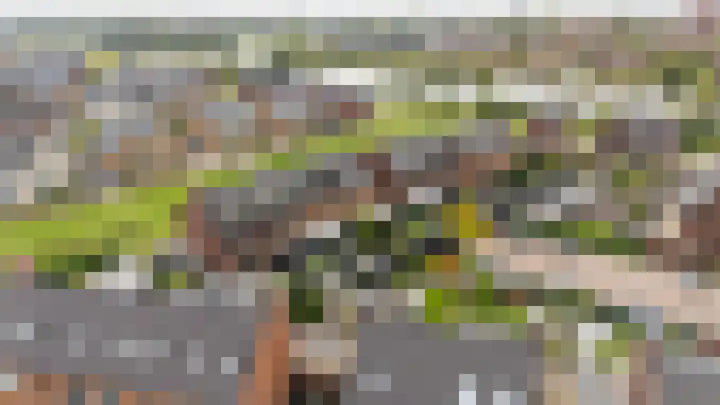 Boomweide 8 Teteringen thumbnail 35