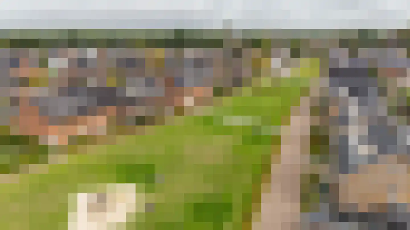 Boomweide 8 Teteringen thumbnail 37