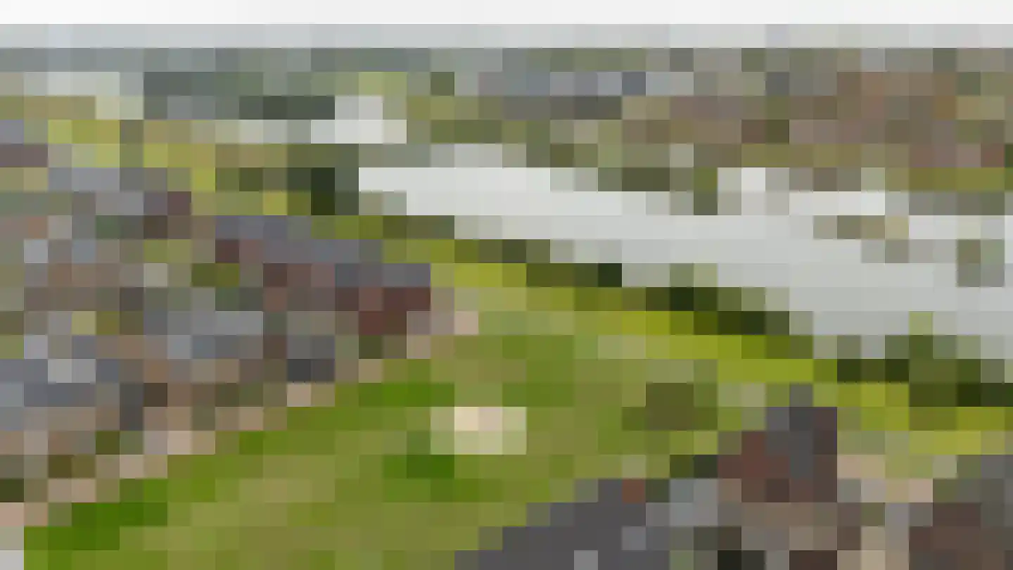 Boomweide 8 Teteringen thumbnail 38