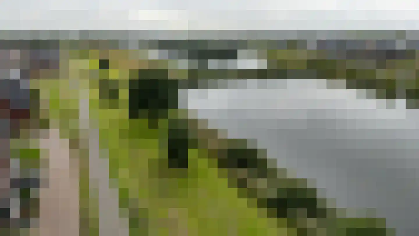 Boomweide 8 Teteringen thumbnail 39