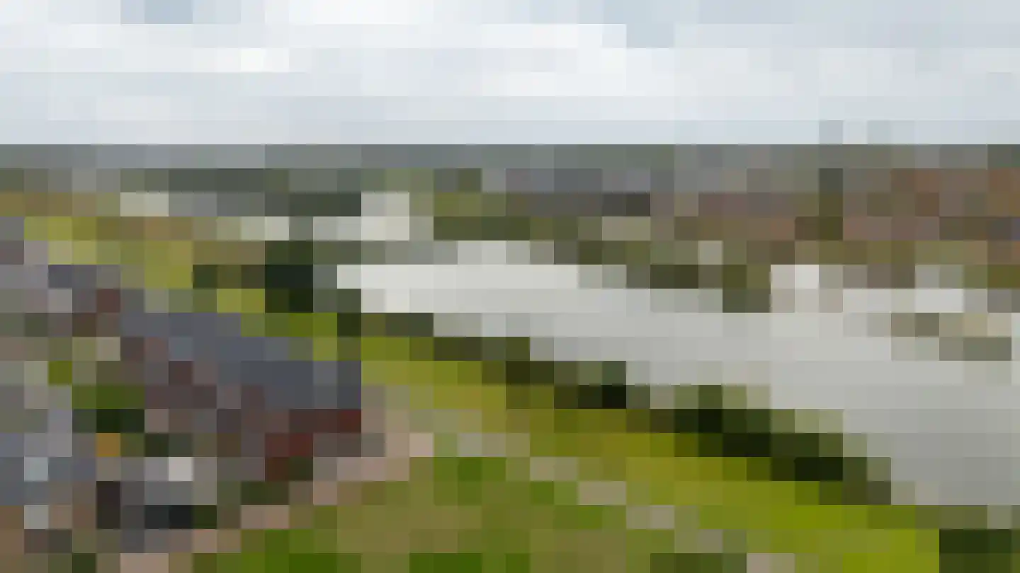 Boomweide 8 Teteringen thumbnail 40
