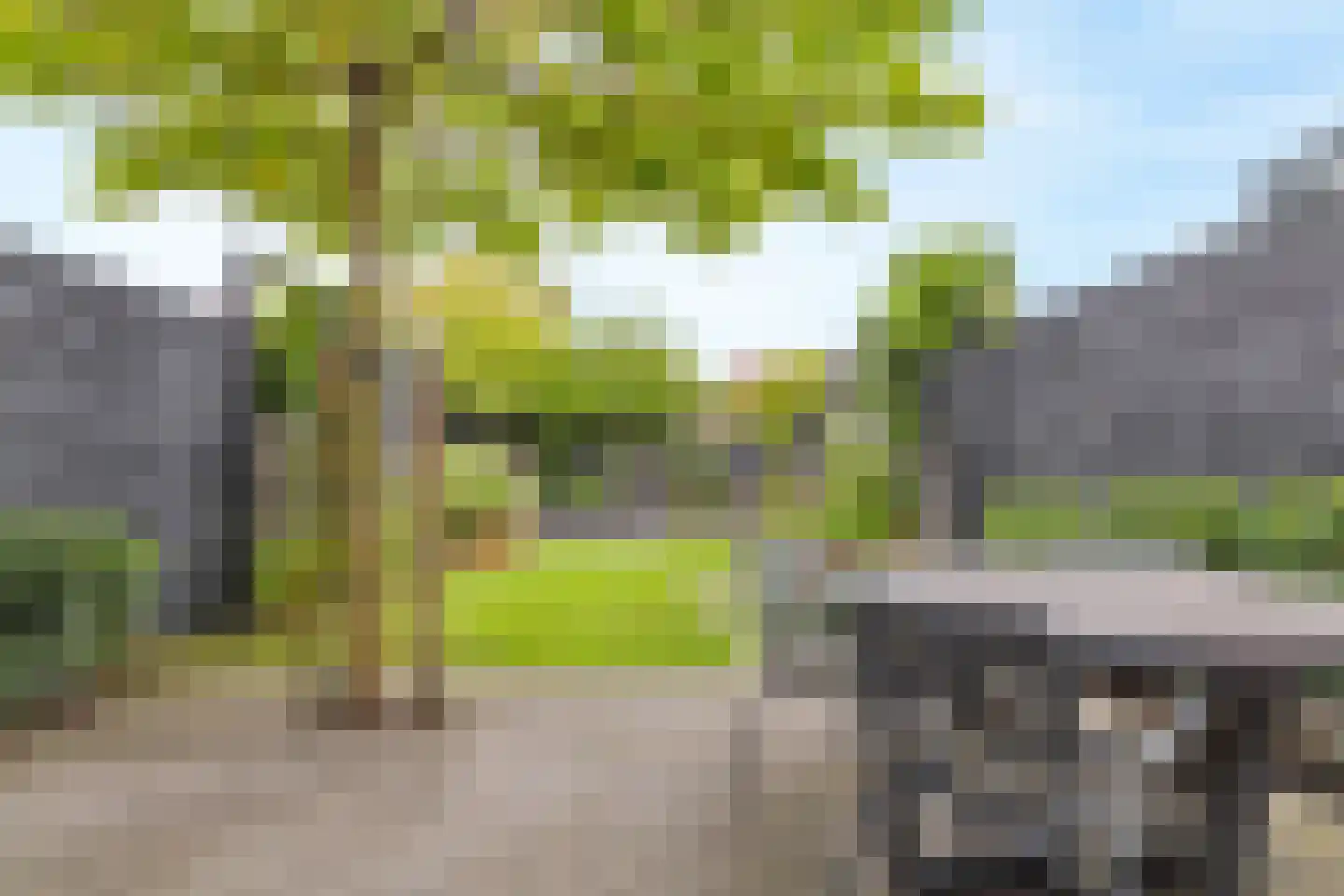 Boomweide 8 Teteringen thumbnail 7
