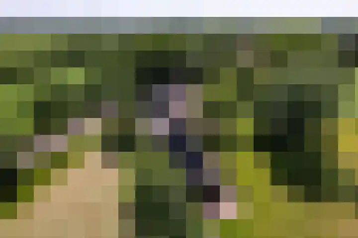 Boomweidelaan 44 in Schore