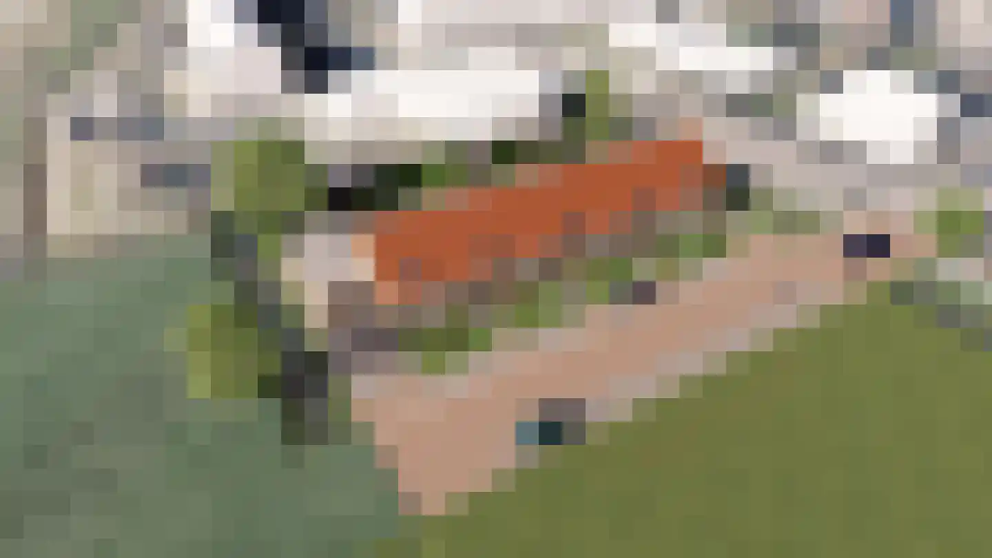 Boomweidelaan 44 Schore thumbnail 4
