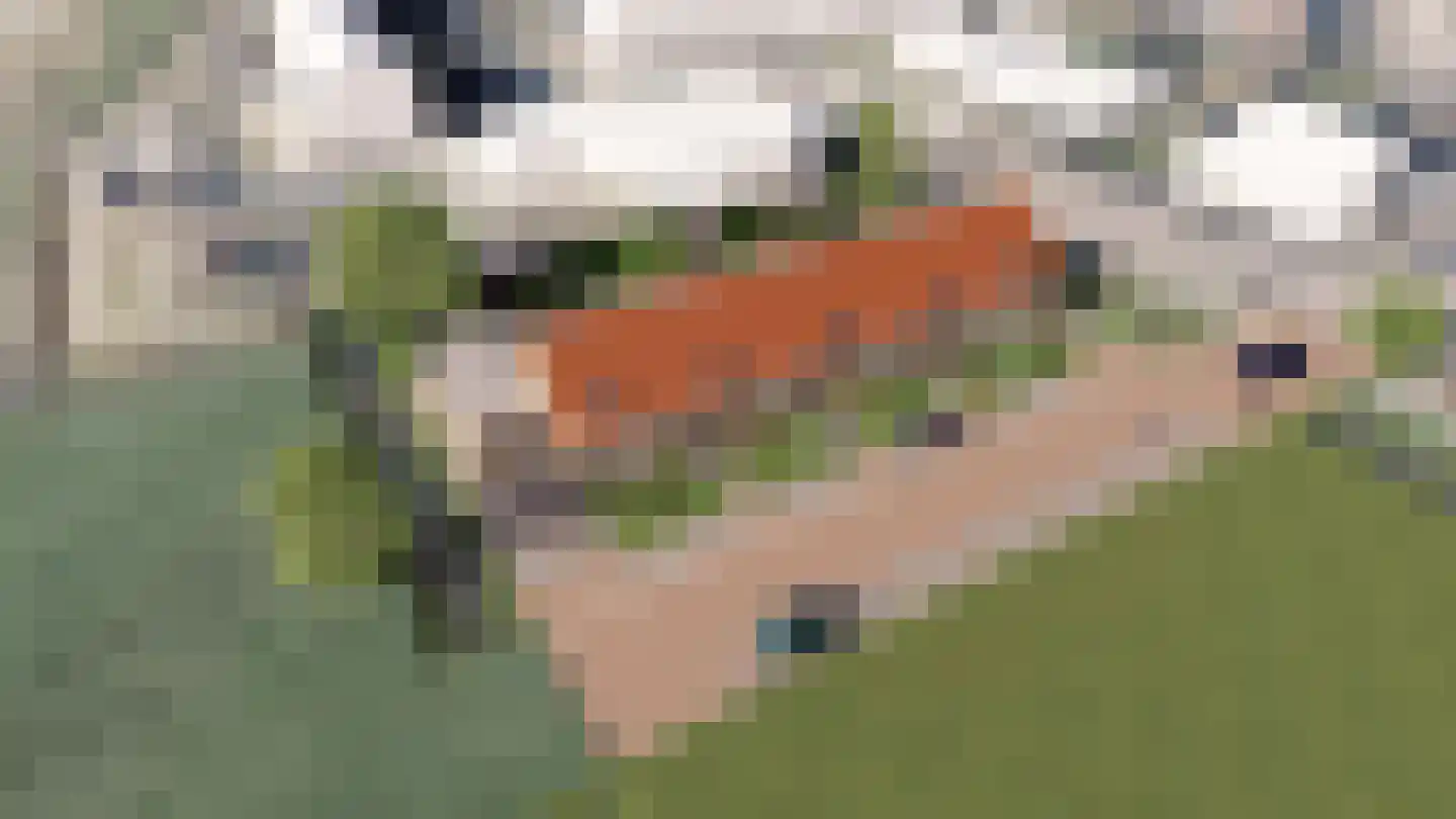 Boomweidelaan 44 Schore thumbnail 4