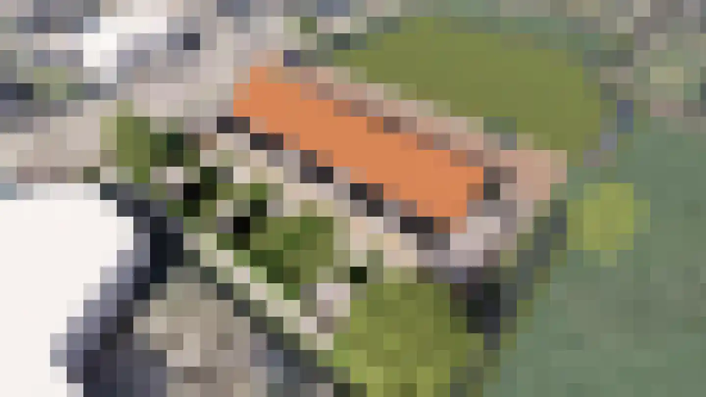 Boomweidelaan 44 Schore thumbnail 7