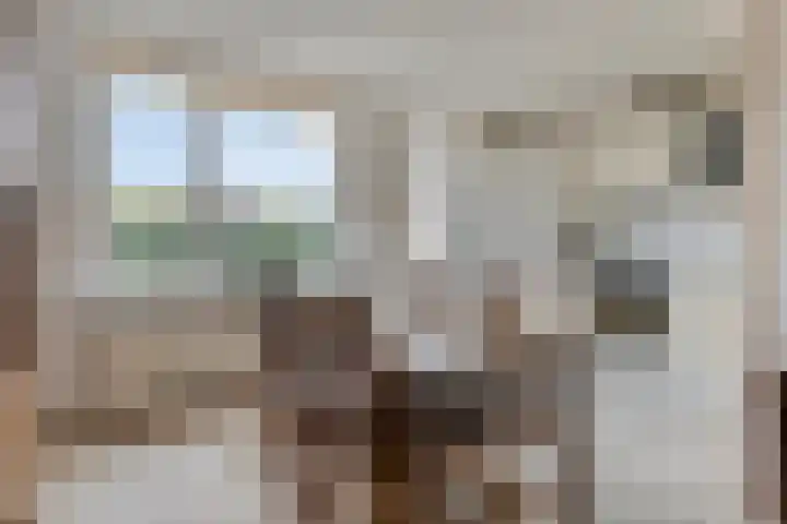 Boomweidelaan 61 Schore thumbnail 13