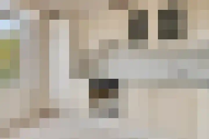 Boomweidelaan 61 Schore thumbnail 15