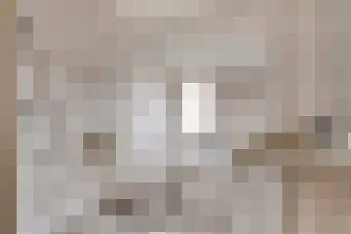 Boomweidelaan 61 Schore thumbnail 23