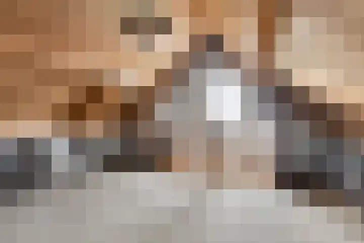 Boomweidelaan 61 Schore thumbnail 26