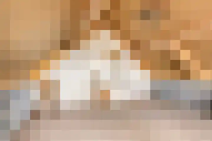 Boomweidelaan 61 Schore thumbnail 27