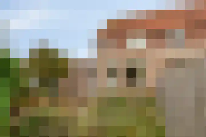 Boomweidelaan 61 Schore thumbnail 28