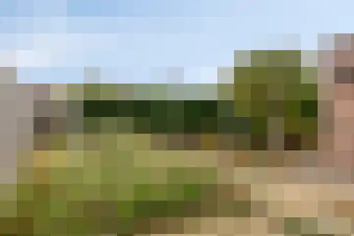Boomweidelaan 61 Schore thumbnail 29