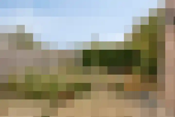 Boomweidelaan 61 Schore thumbnail 30
