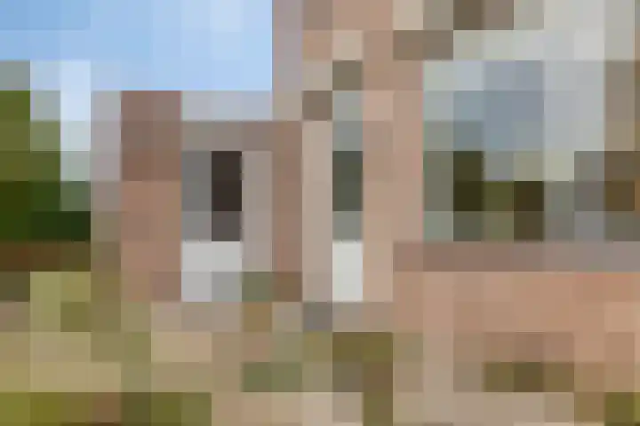 Boomweidelaan 61 Schore thumbnail 31