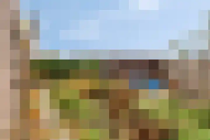 Boomweidelaan 61 Schore thumbnail 32