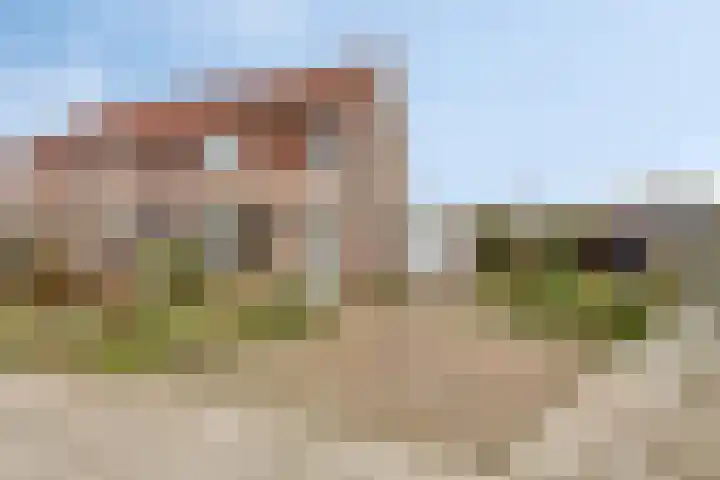 Boomweidelaan 61 Schore thumbnail 34